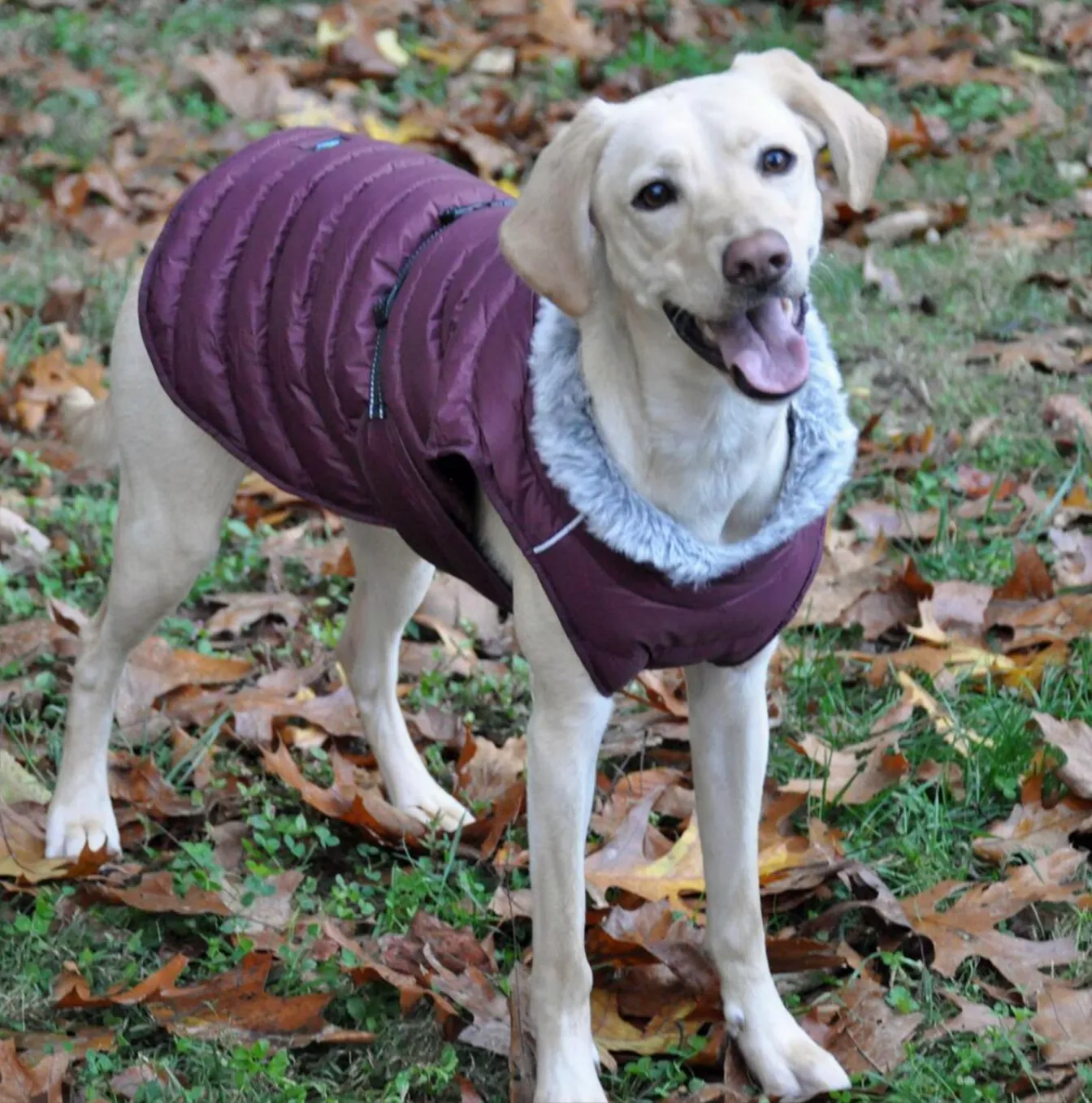 Alpine Extreme Weather Puffer Coat - Burgundy