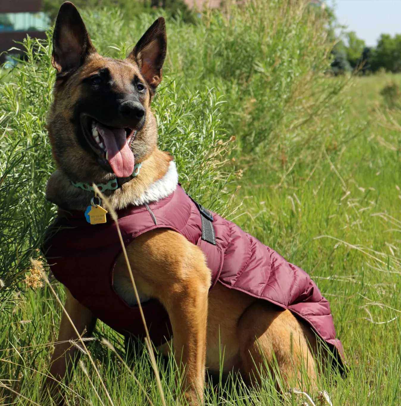 Alpine Extreme Weather Puffer Coat - Burgundy
