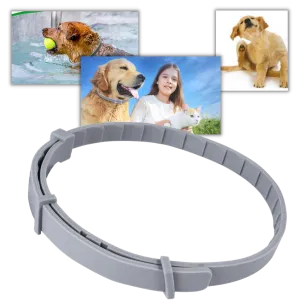 Anti-Flea Collar for Pets