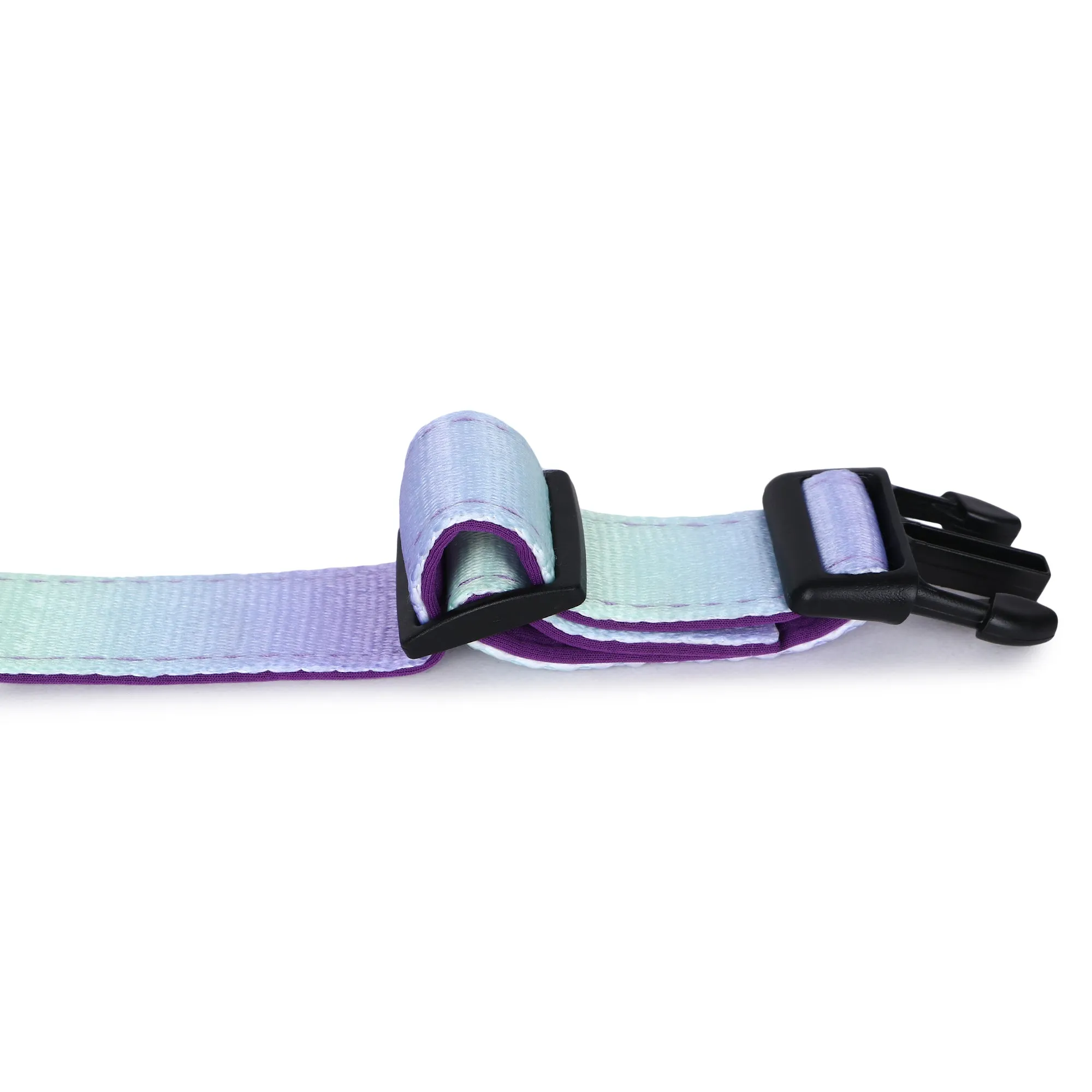 Basil Printed Adjustable Collar for Dogs ,cats & Puppies (Green & Purple)