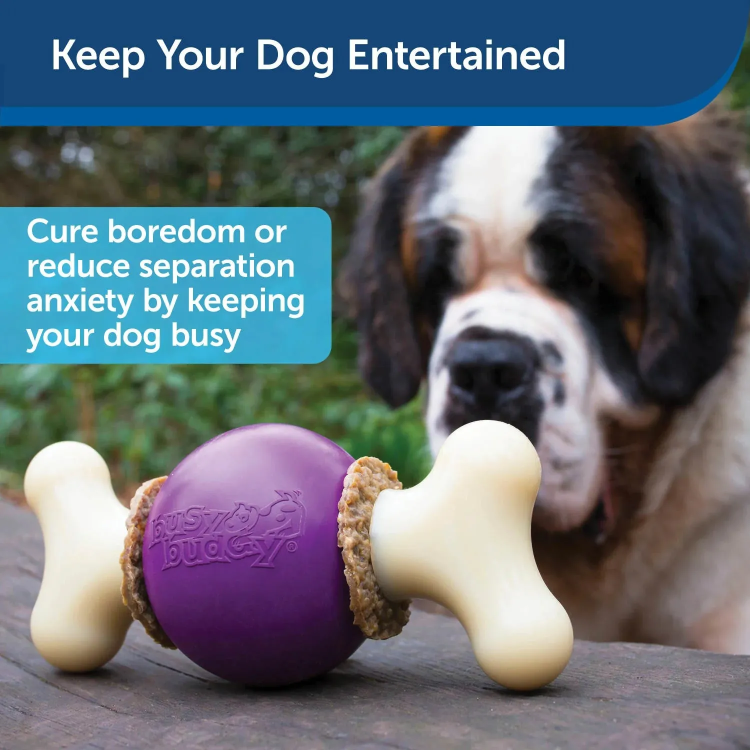 Busy Buddy Bouncy Bone
