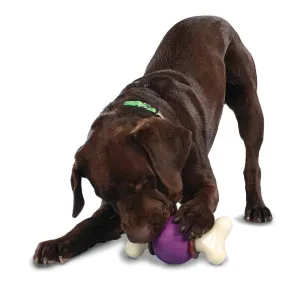 Busy Buddy Bouncy Bone