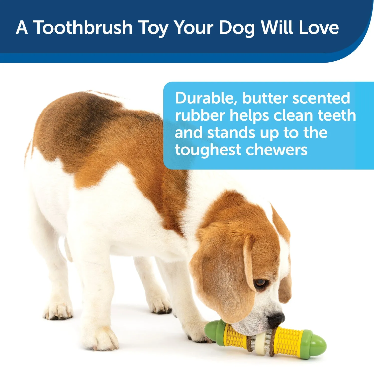 Busy Buddy® Cravin’ Corncob