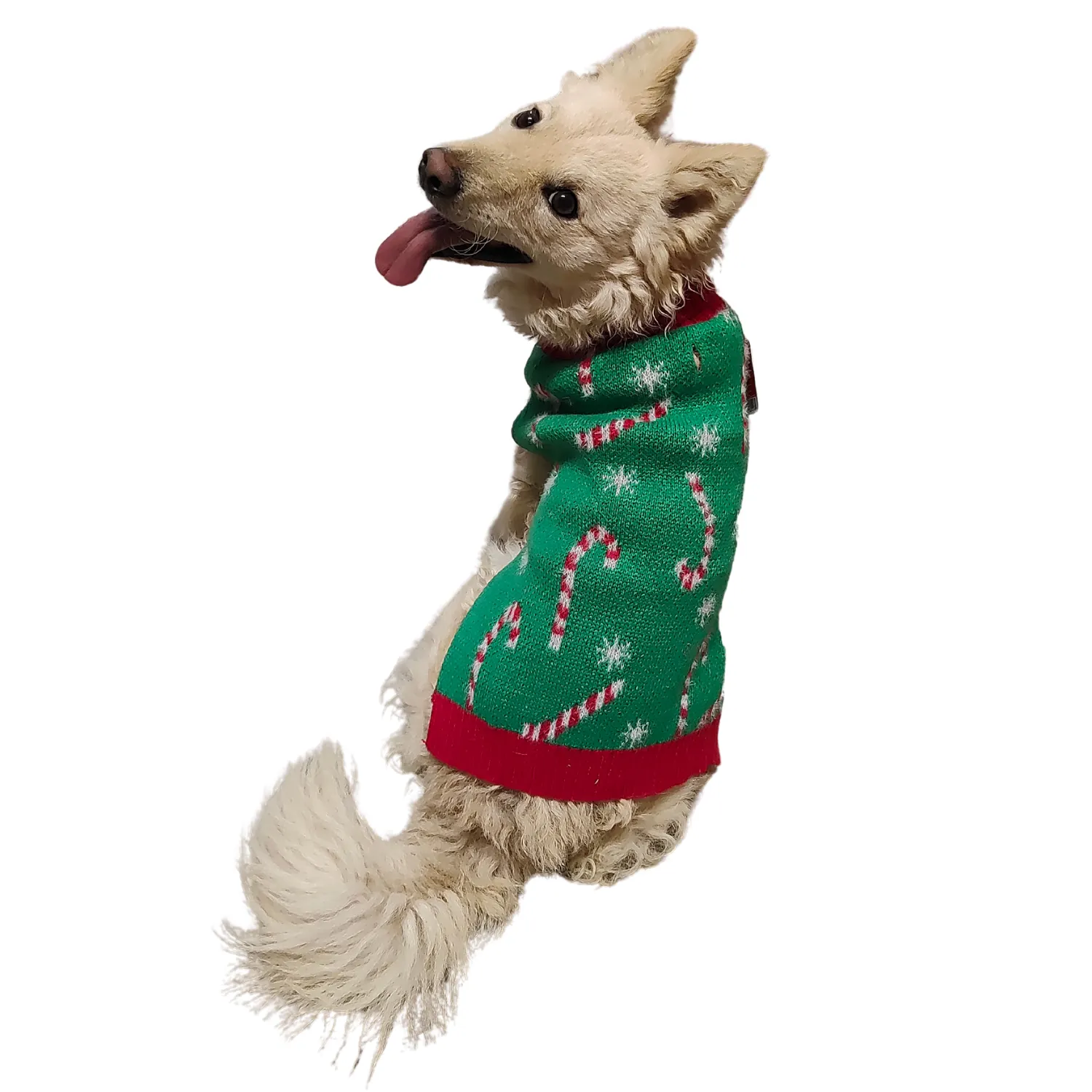 Candy Cane Sweater | Dog Christmas Jumper by Happy Pet
