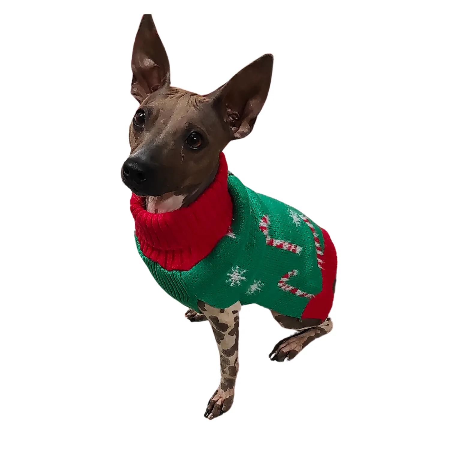 Candy Cane Sweater | Dog Christmas Jumper by Happy Pet