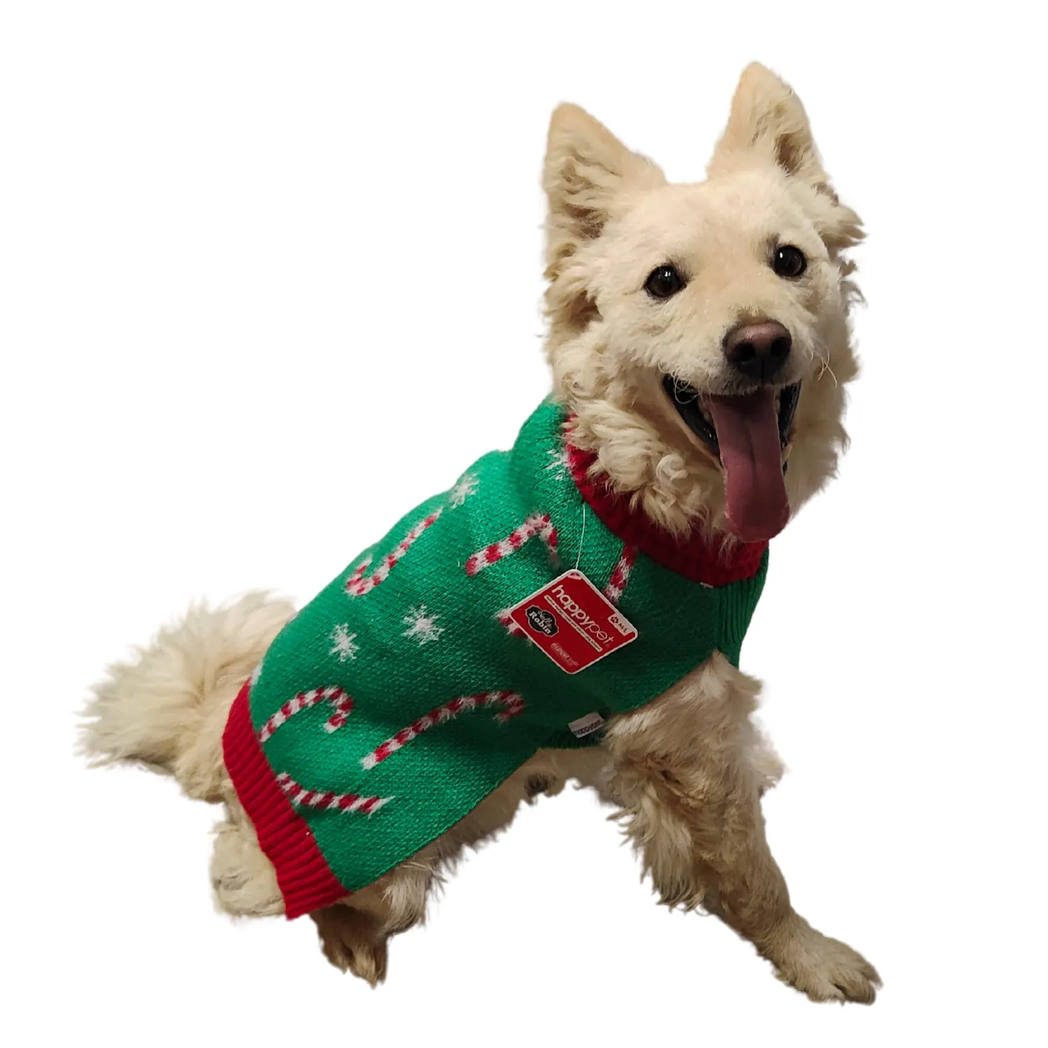 Candy Cane Sweater | Dog Christmas Jumper by Happy Pet