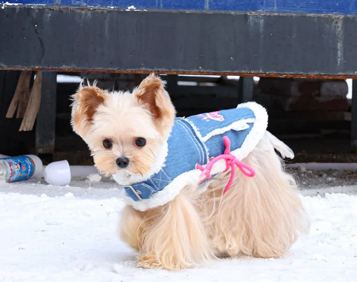 Cozy Pet Sweater: Stylish Dog Clothes for Spring and Autumn