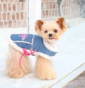 Cozy Pet Sweater: Stylish Dog Clothes for Spring and Autumn