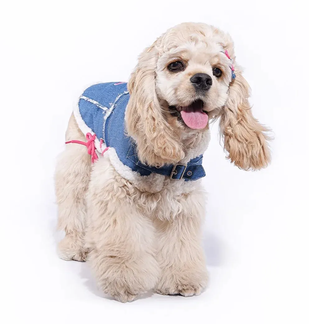 Cozy Pet Sweater: Stylish Dog Clothes for Spring and Autumn