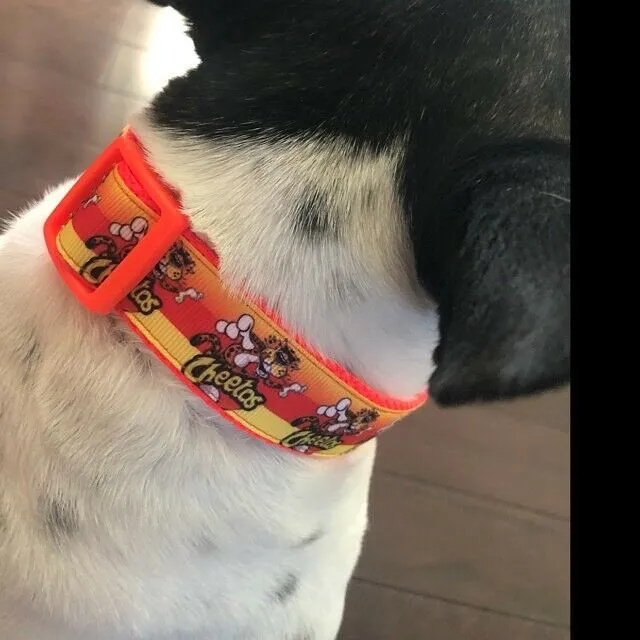 Dachshund dog collar handmade adjustable buckle collar 1" wide or leash Boy blue Petcollarshandmade