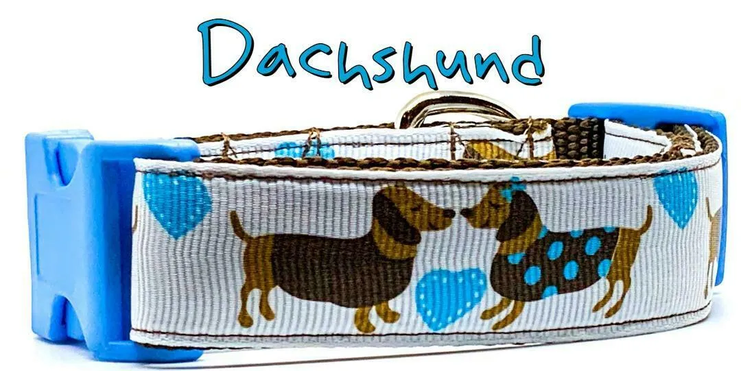 Dachshund dog collar handmade adjustable buckle collar 1" wide or leash Boy blue Petcollarshandmade