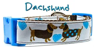 Dachshund dog collar handmade adjustable buckle collar 1" wide or leash Boy blue Petcollarshandmade
