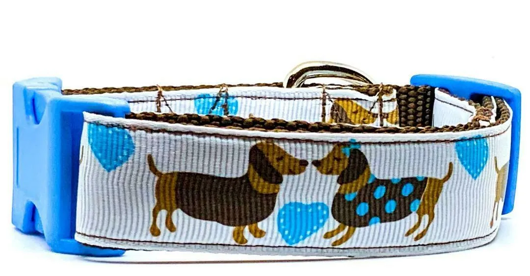 Dachshund dog collar handmade adjustable buckle collar 1" wide or leash Boy blue Petcollarshandmade