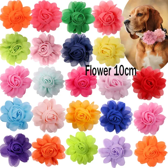 Dog Accessories Big Flower-Collar