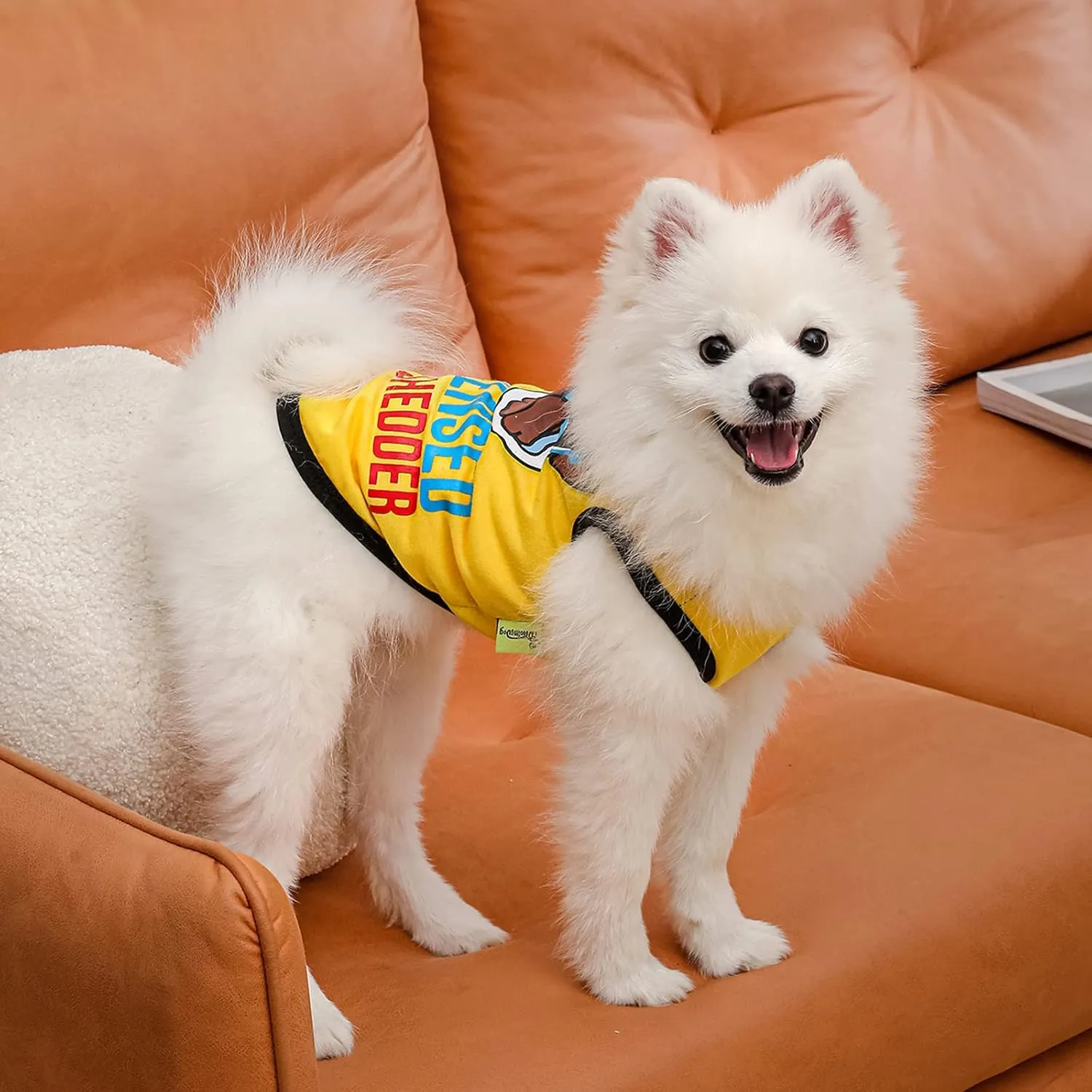 Dog Shirts Pet Printed Clothes with Funny Letters Summer Pet T Shirts Cool Puppy Shirts Breathable Dog Outfit Soft Dog Sweatshirt for Pet Dogs Cats (Large, Pattern-6)