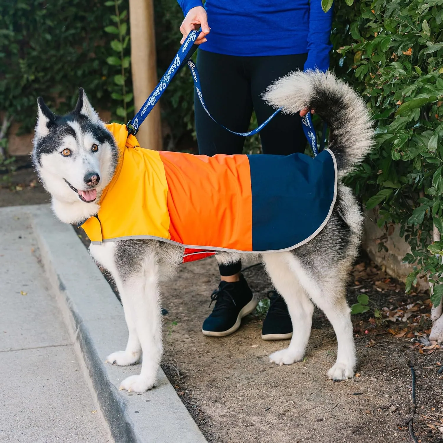 Eddie Bauer E23210L Ravenna Colorblocked Dog Windbreaker Jacket in Large, Orange and Blue
