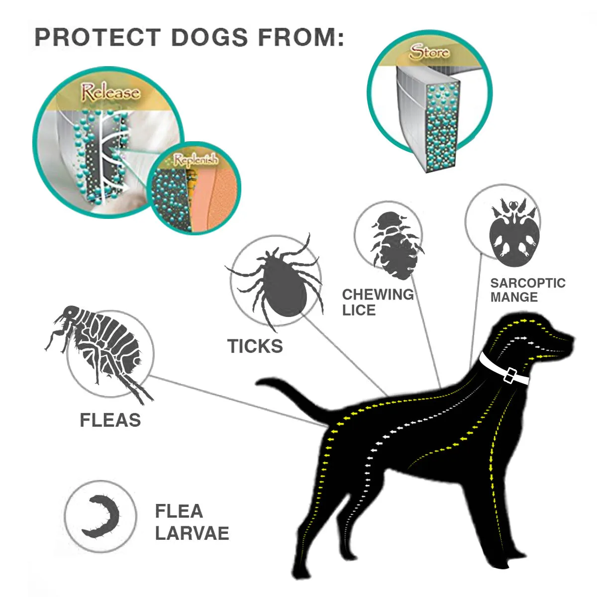 Flea And Tick Collar For Dogs