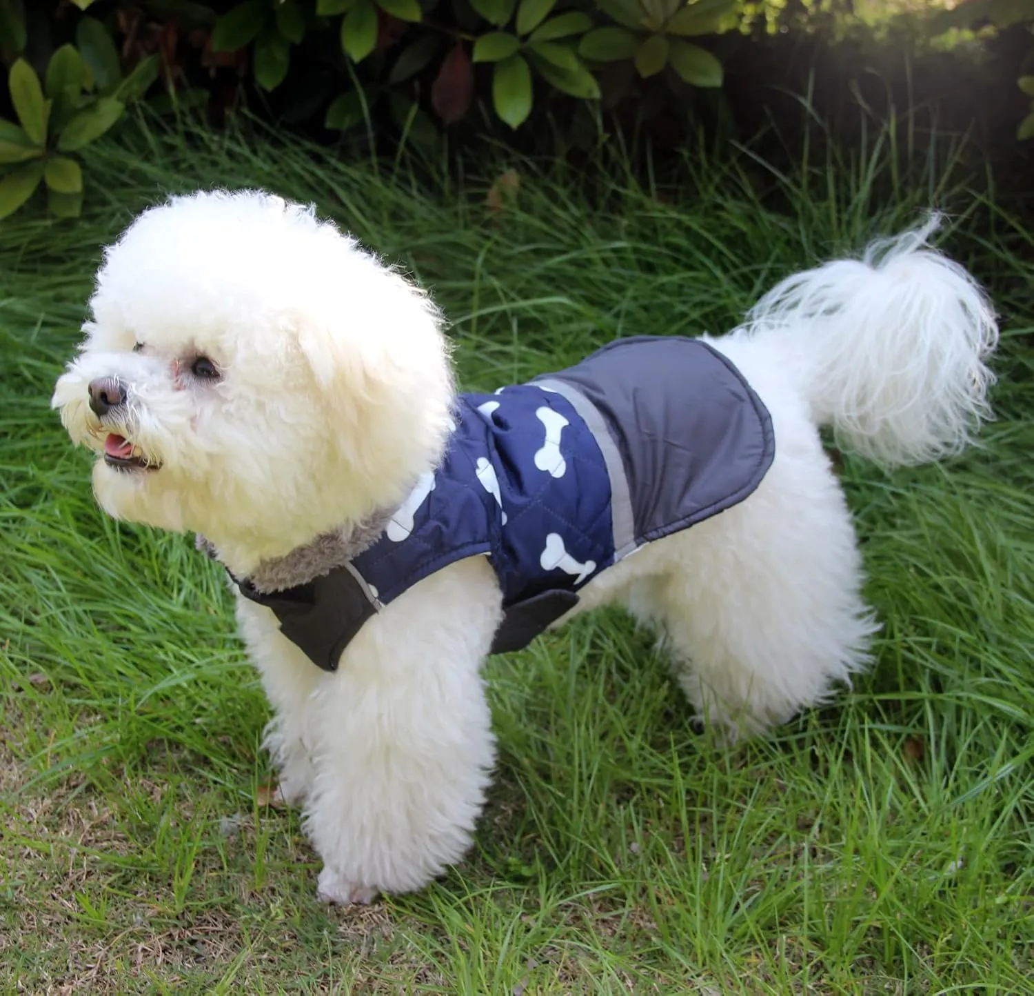 Fleece Collar Reversible Dog Coats for Small Dogs Waterproof Warm Puppy Jacket for Cold Winter,Blue XS