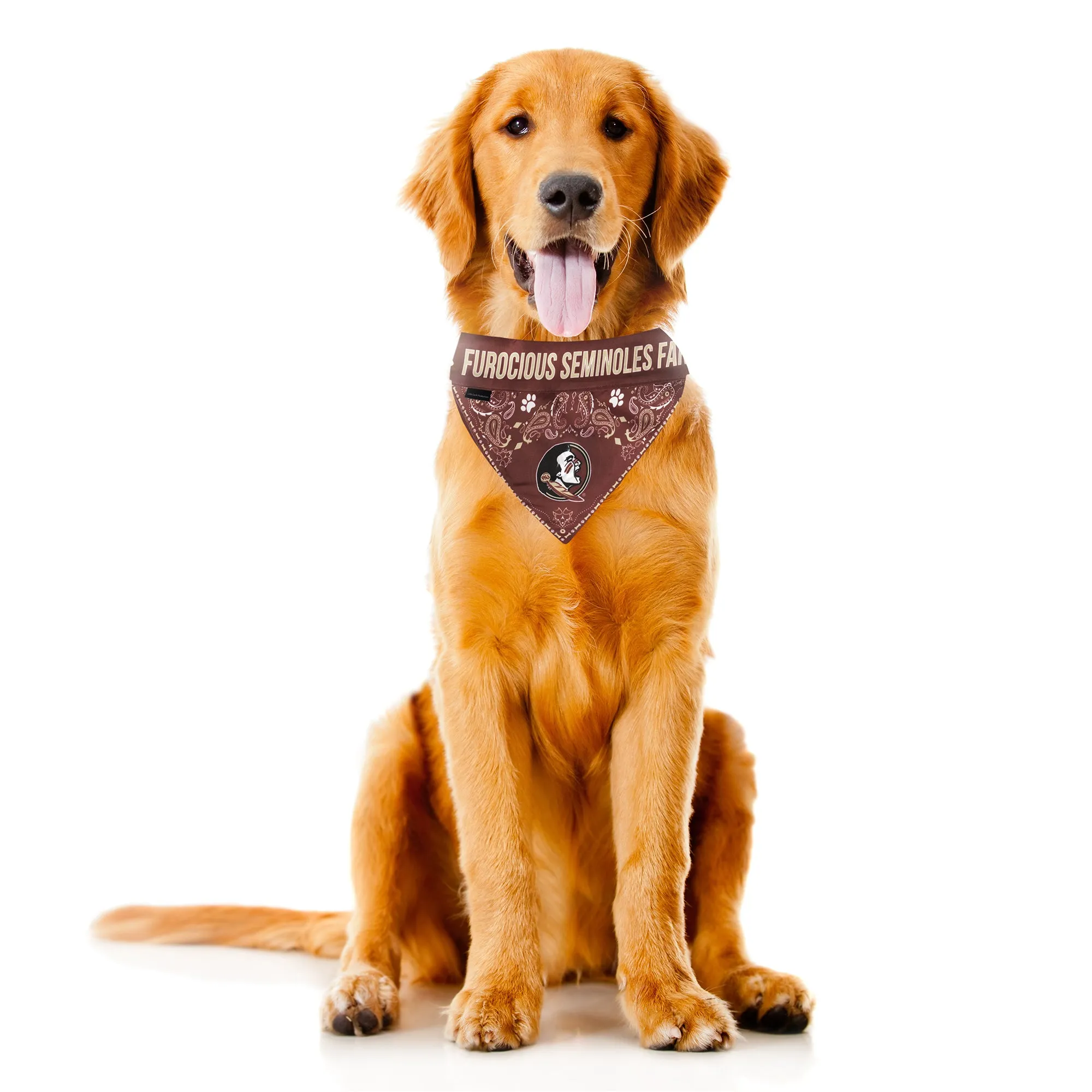 Florida State University Pet Bandana