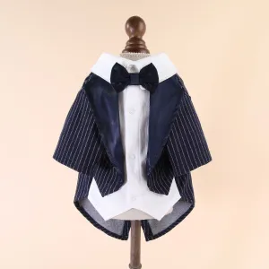 Gentleman Suit for Pet