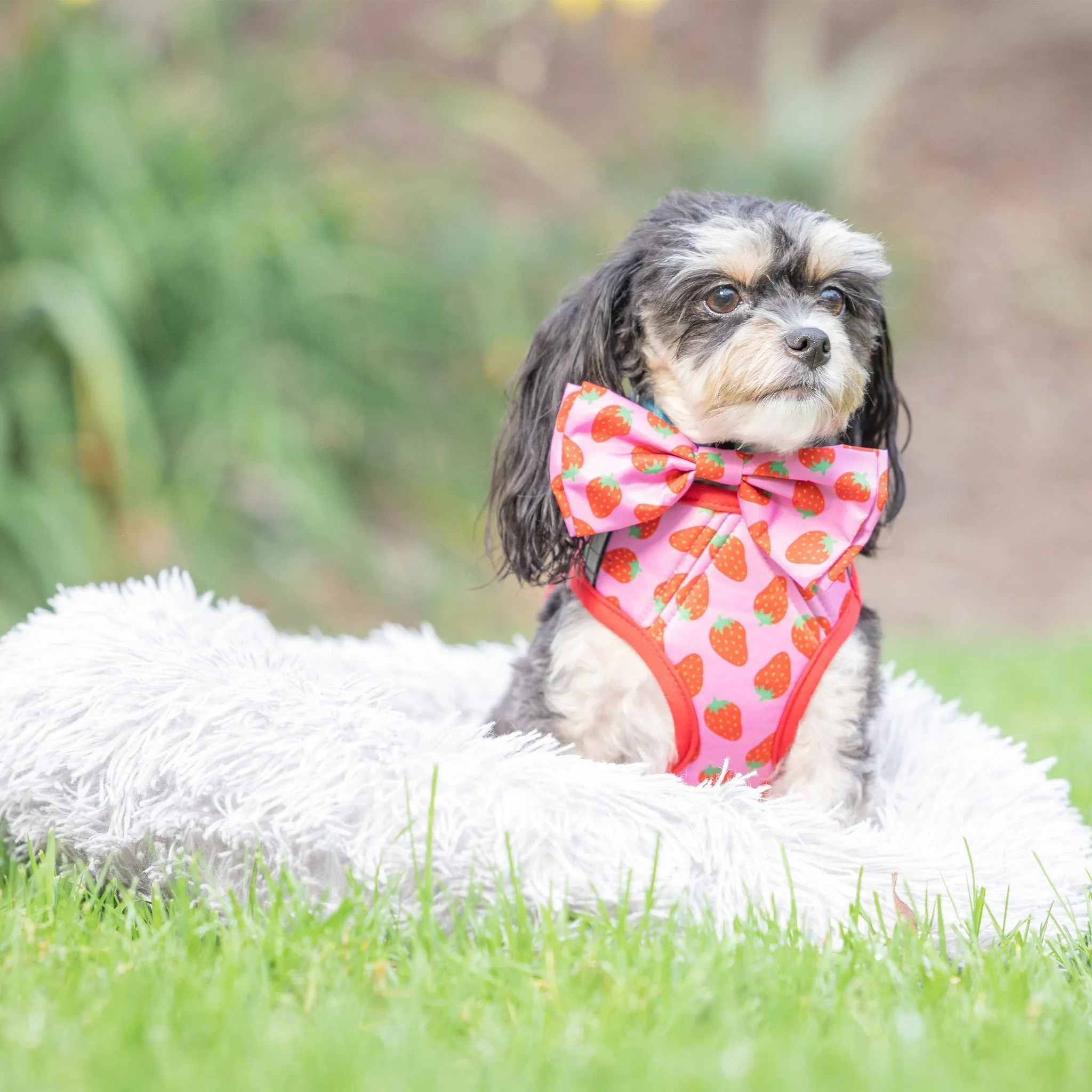 Huxley & Kent Bow Tie Large Strawberries
