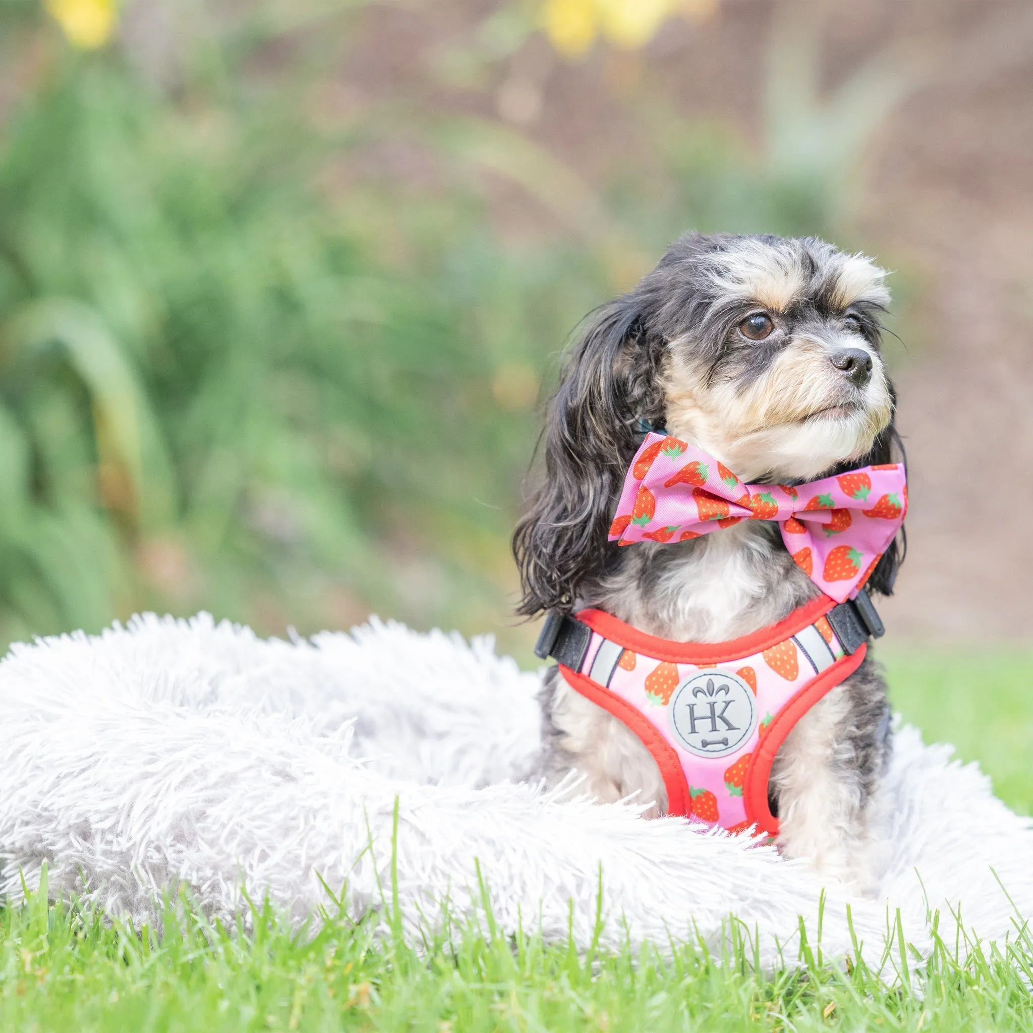 Huxley & Kent Bow Tie Small Strawberries