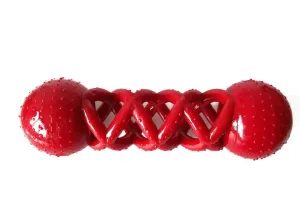 iEnergy DAV Dental Chew Toy