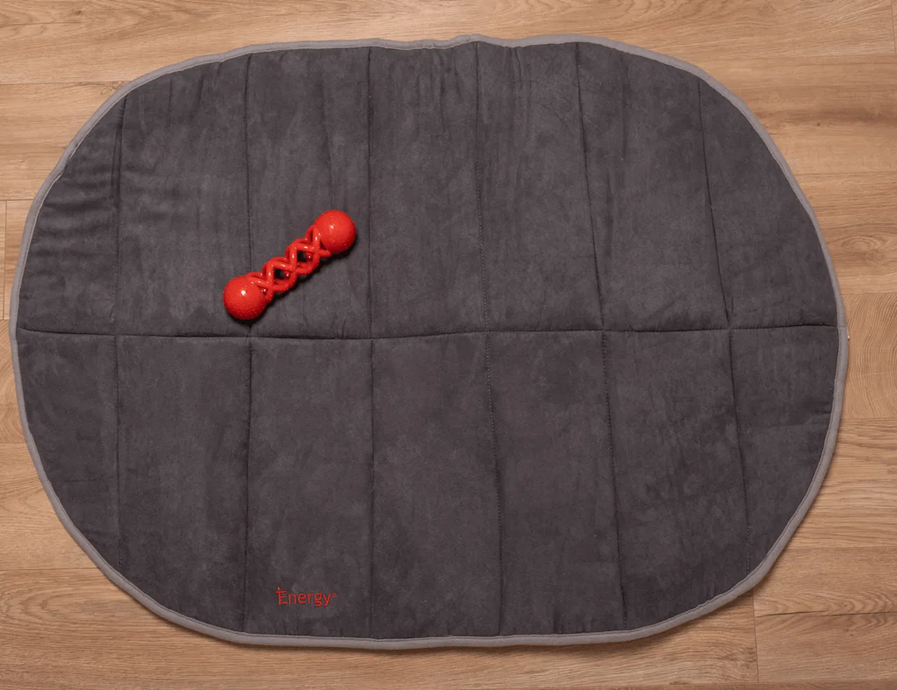 iEnergy DAV Dental Chew Toy