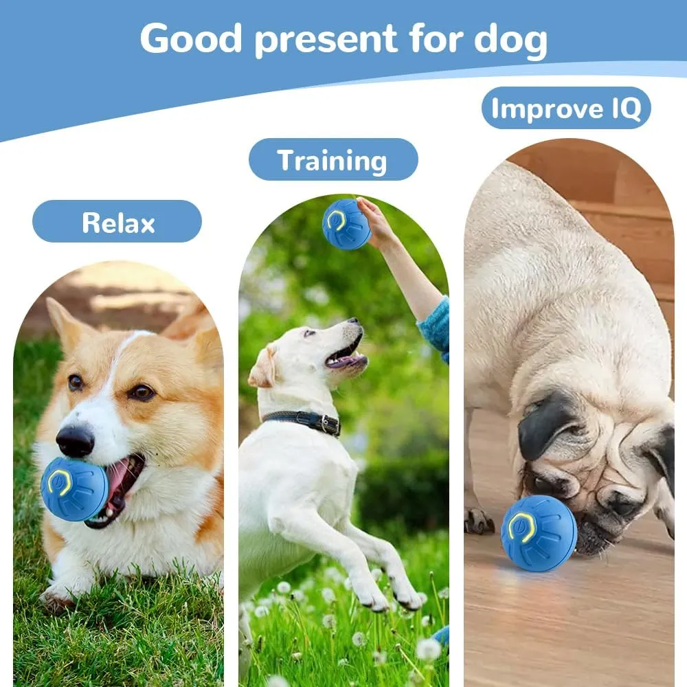 Interactive Motion Dog Ball Toy, Automatic Rolling Ball with LED Flash, USB Rechargeable (2pcs Blue)