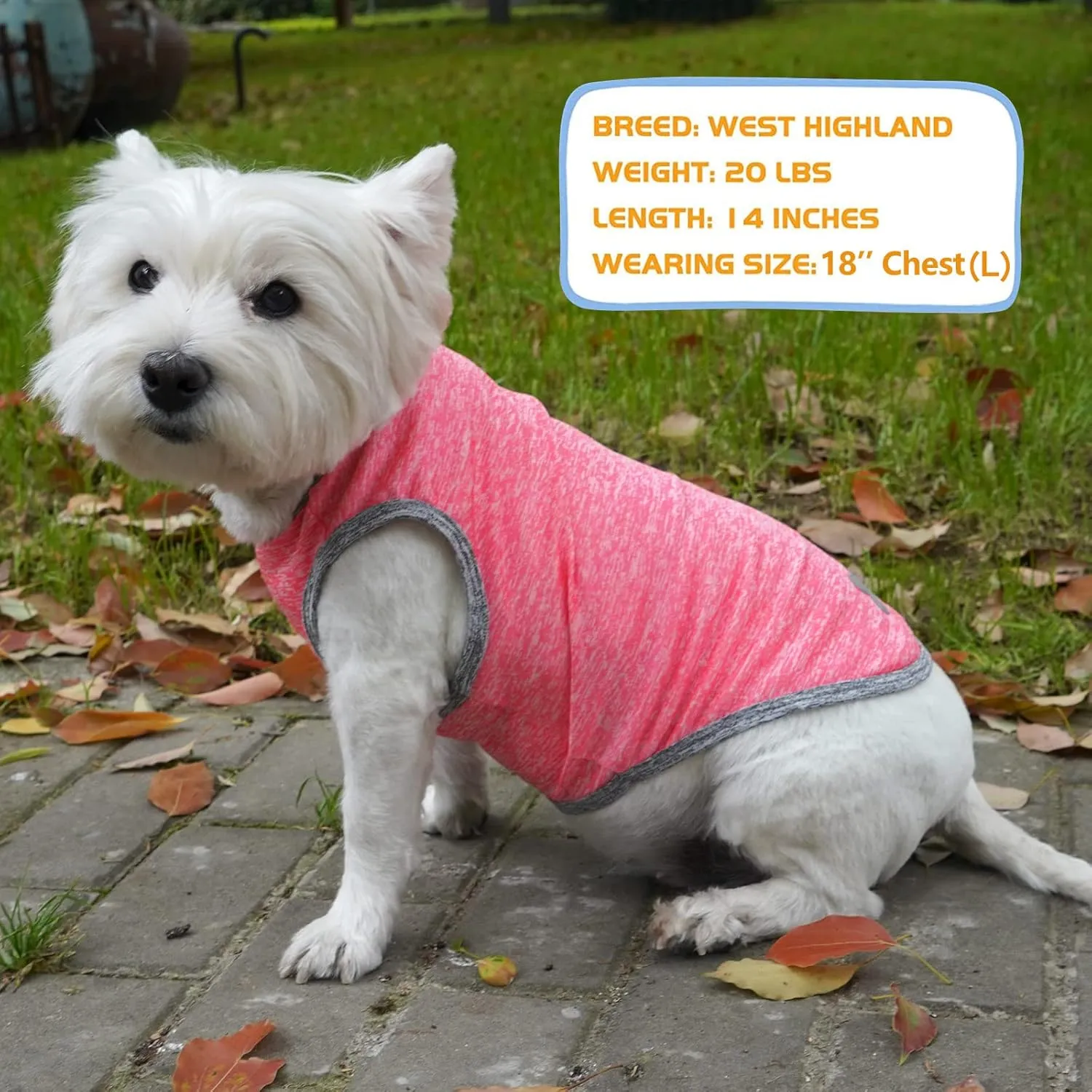 KYEESE 2 Pack Dog Shirts for Small Dogs Quick Dry Soft Stretchy Dogs T-Shirts with Reflective Label Tank Top Sleeveless Vest Sun Protection Pet Clothes Puppy Shirt, Coral Red Grey, S