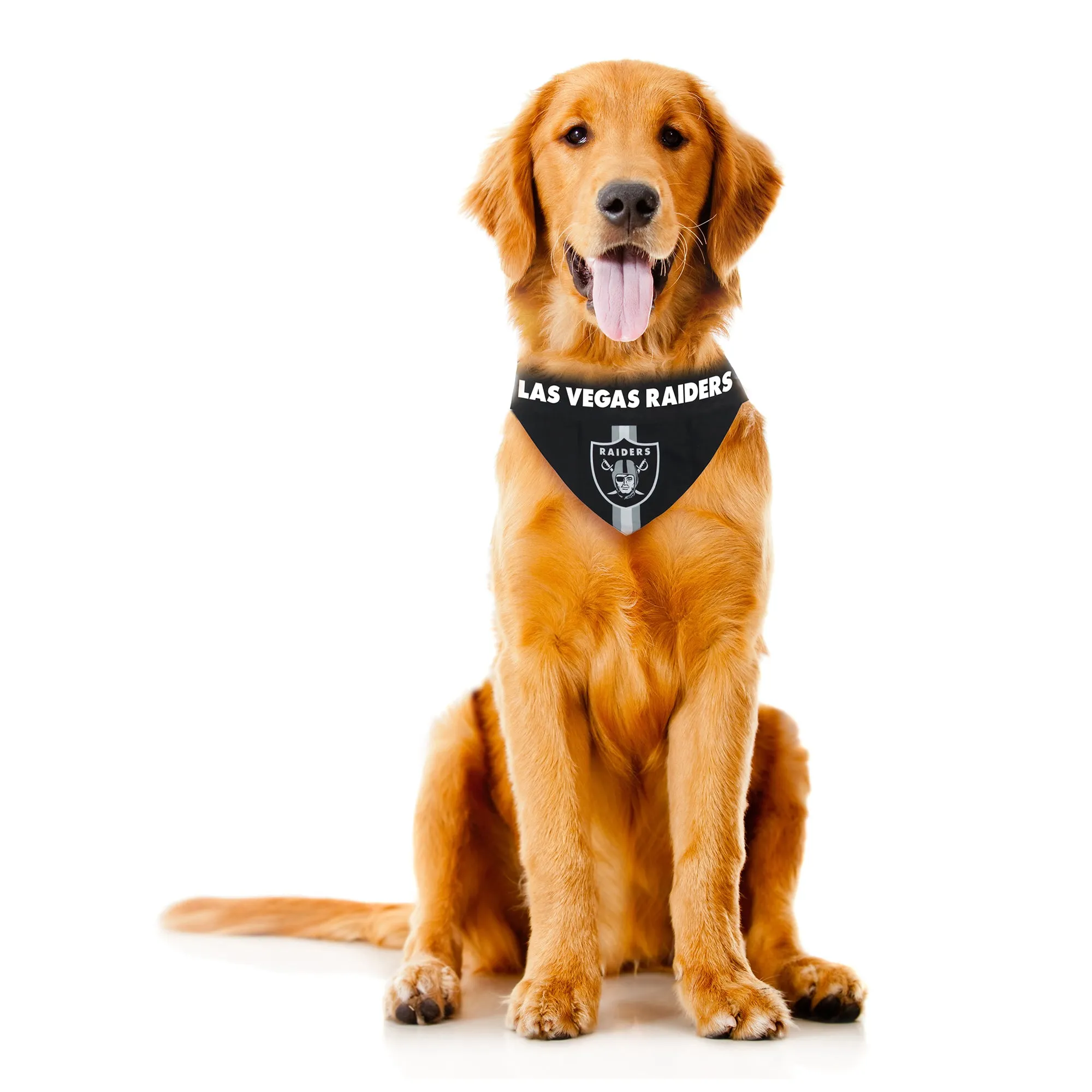 Las Vegas Raiders Pet Bandana