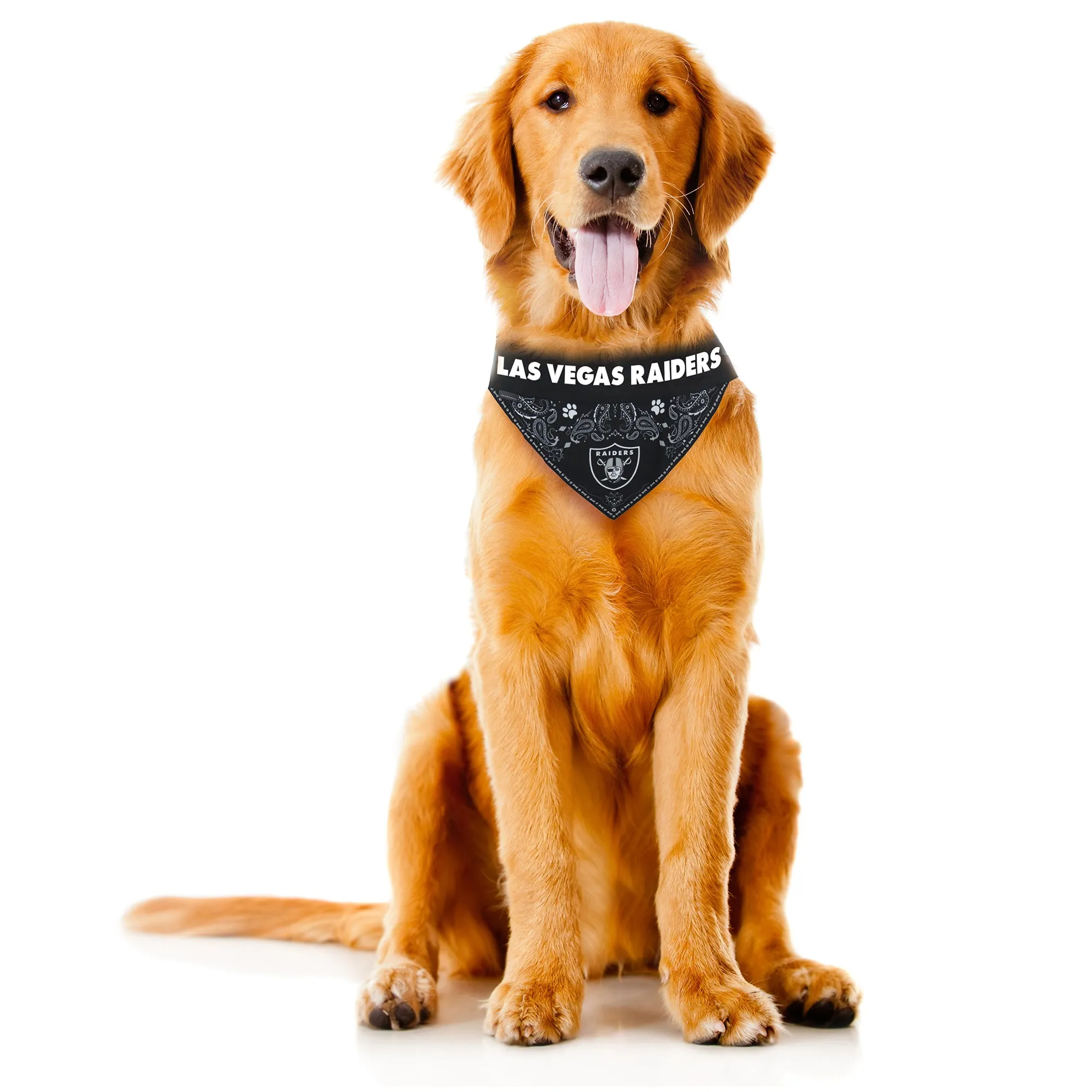 Las Vegas Raiders Pet Bandana