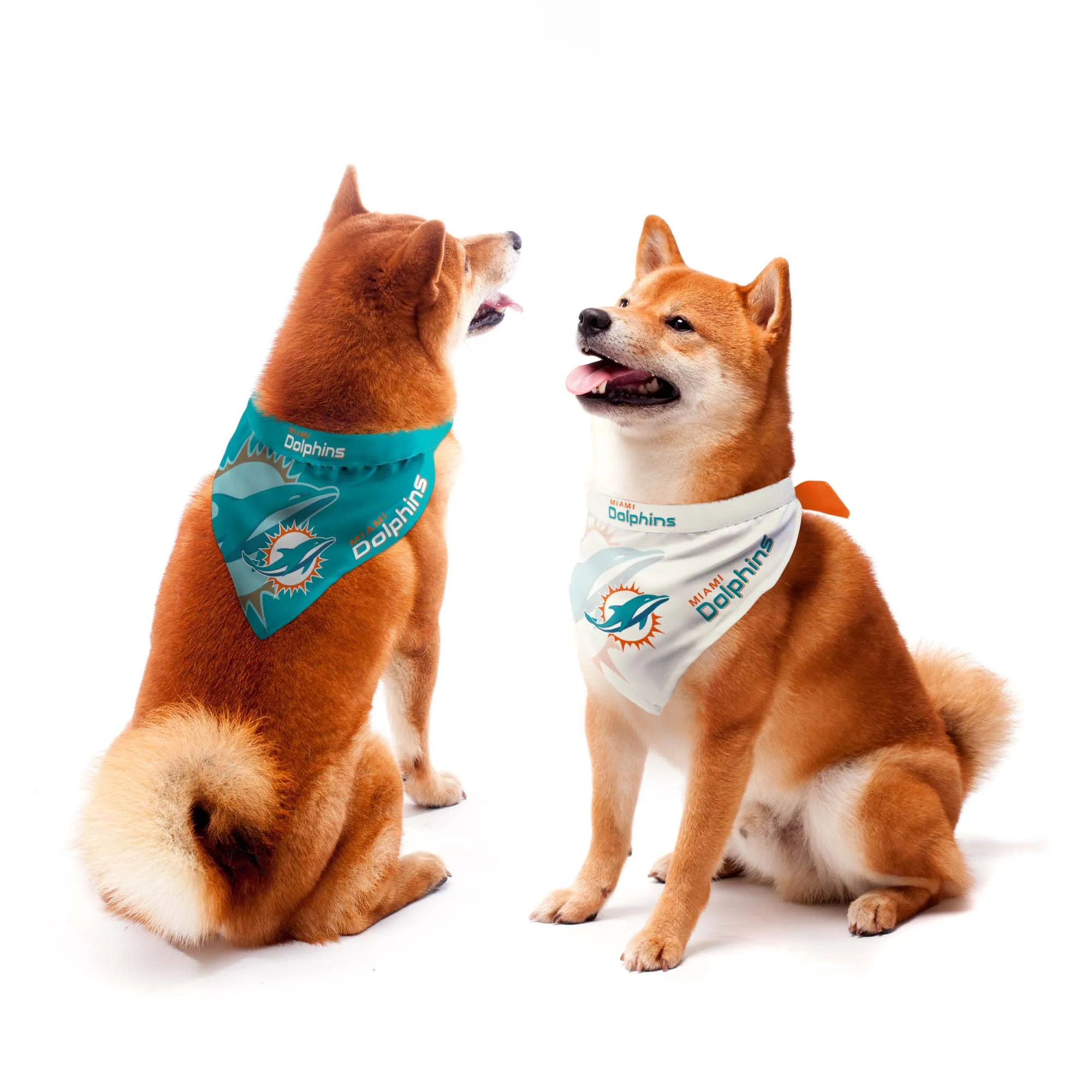 Miami Dolphins Home and Away Pet Bandana Set
