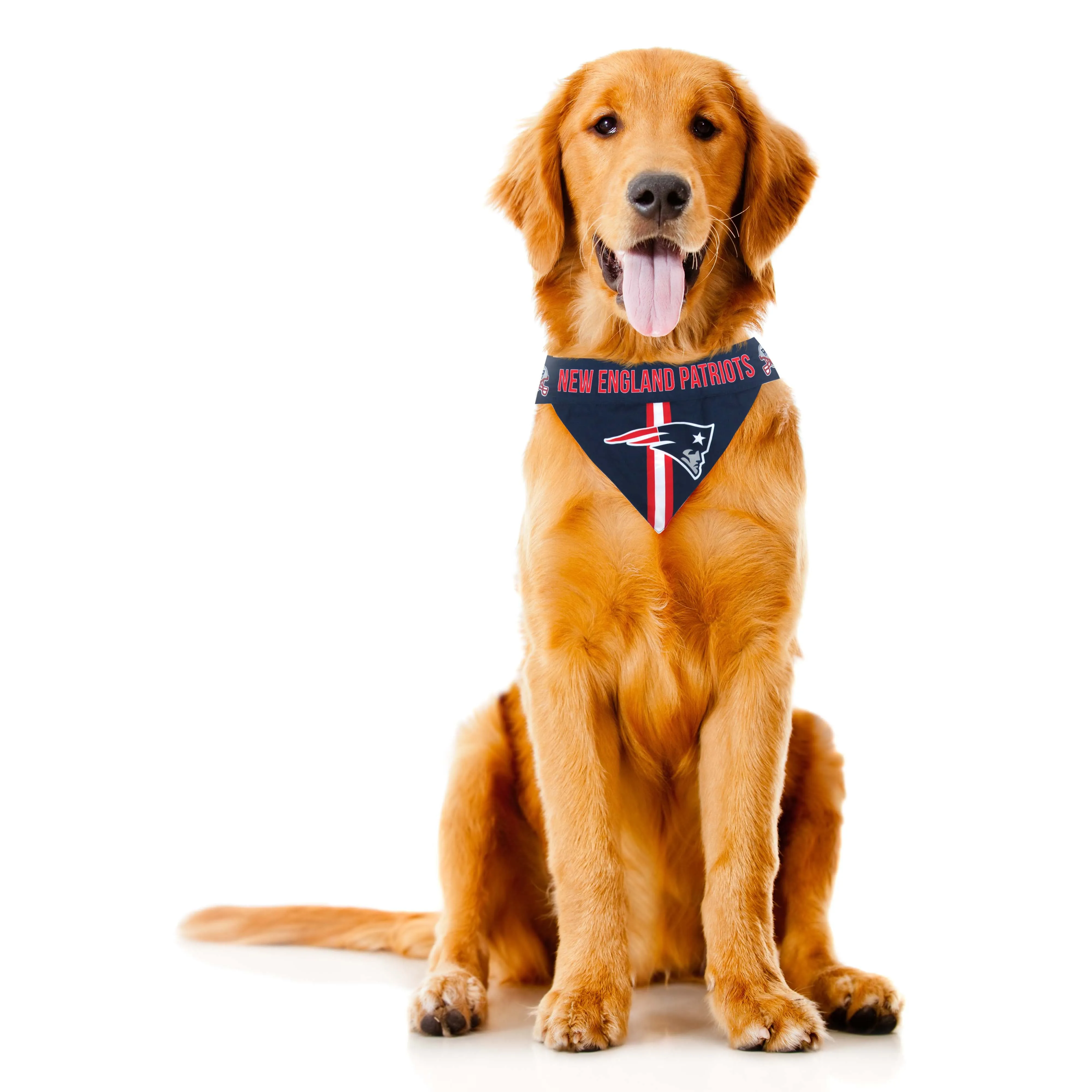 New England Patriots Pet Bandana