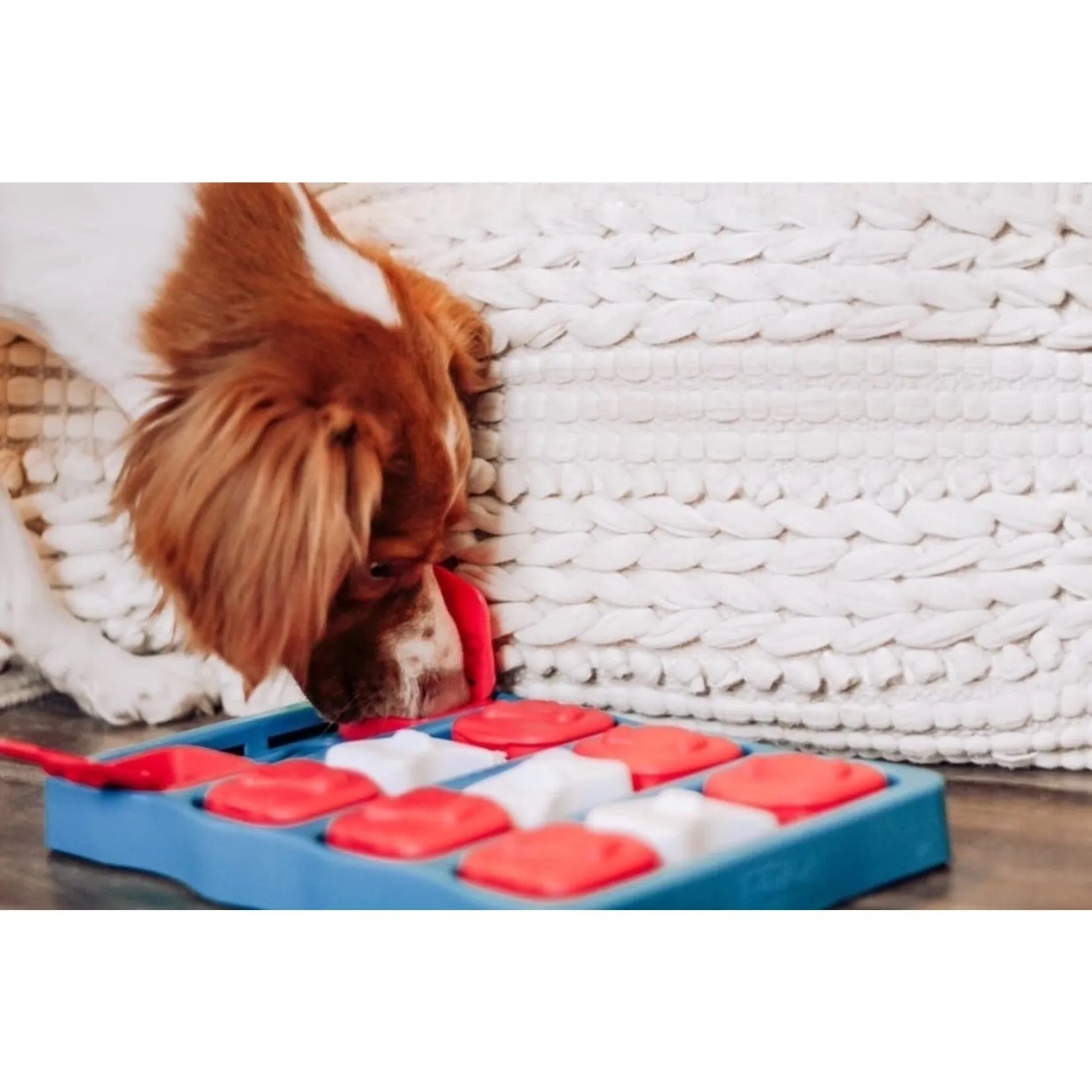 Nina Ottosson Brick Interactive Dog Toy Blue