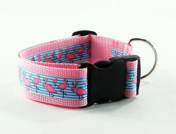 Nursing dog collar handmade adjustable buckle collar 1" wide or leash Petcollarshandmade