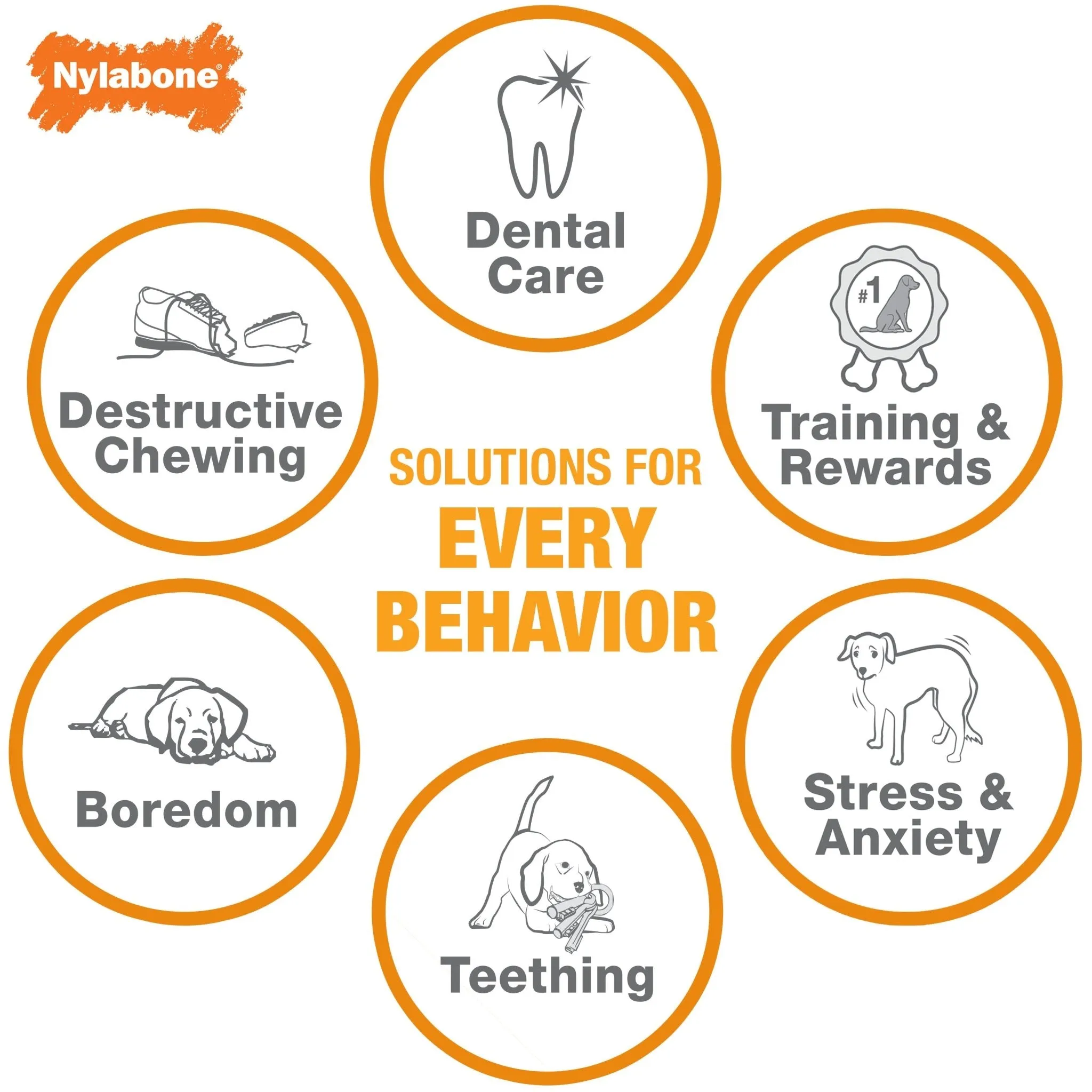 Nylabone DuraChew Monster Bone