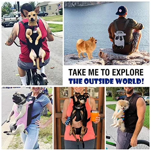 PAWABOO Pet Carrier Backpack, Adjustable Pet Front Cat Dog Carrier Backpack Travel Bag, Legs Out, Easy-Fit for Traveling Hiking Camping, Medium Size, Black