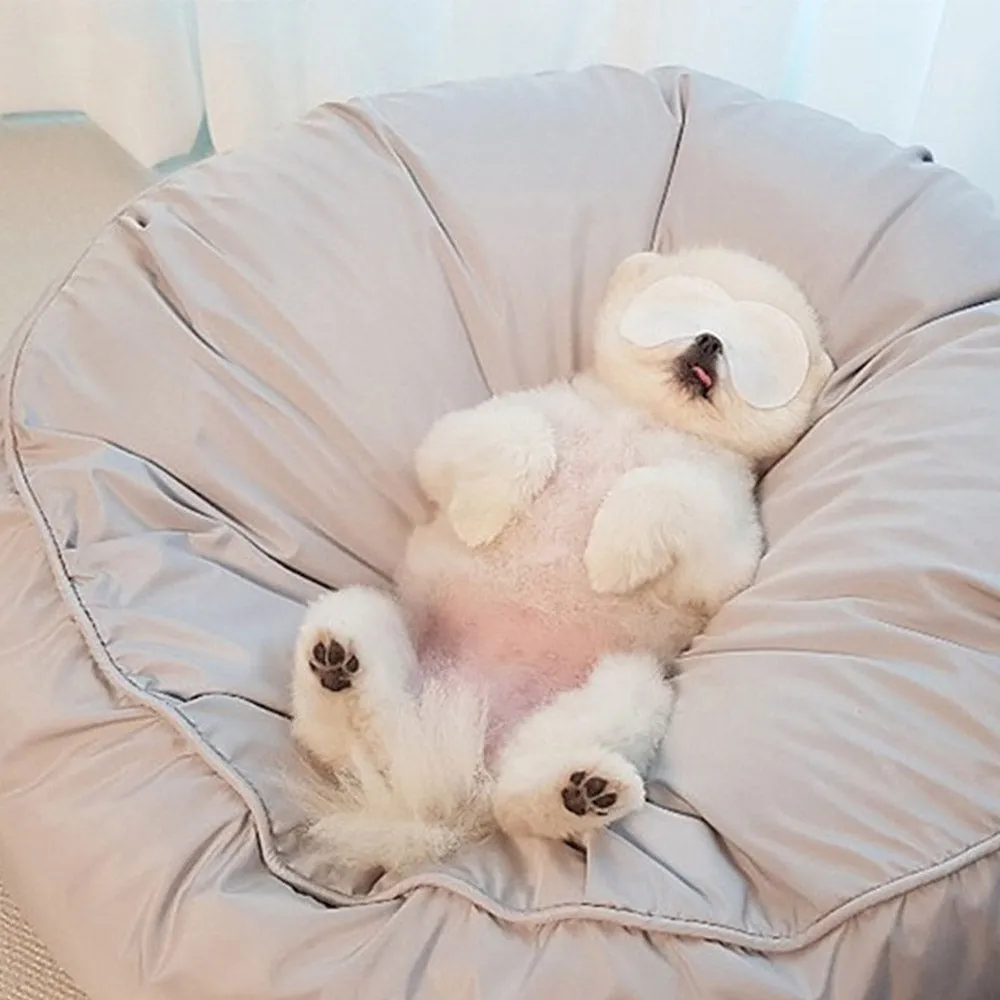 PAWS ASIA Factory Cheap Round Washable Removable Large Warm Soft Padded Minimalist Cat Bed Dog