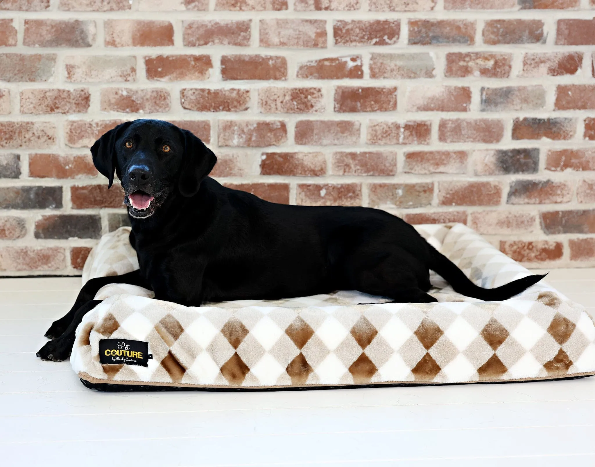 Pet Bed JulesRoche Memory Foam Water-Resistant Minky Fabric Cover