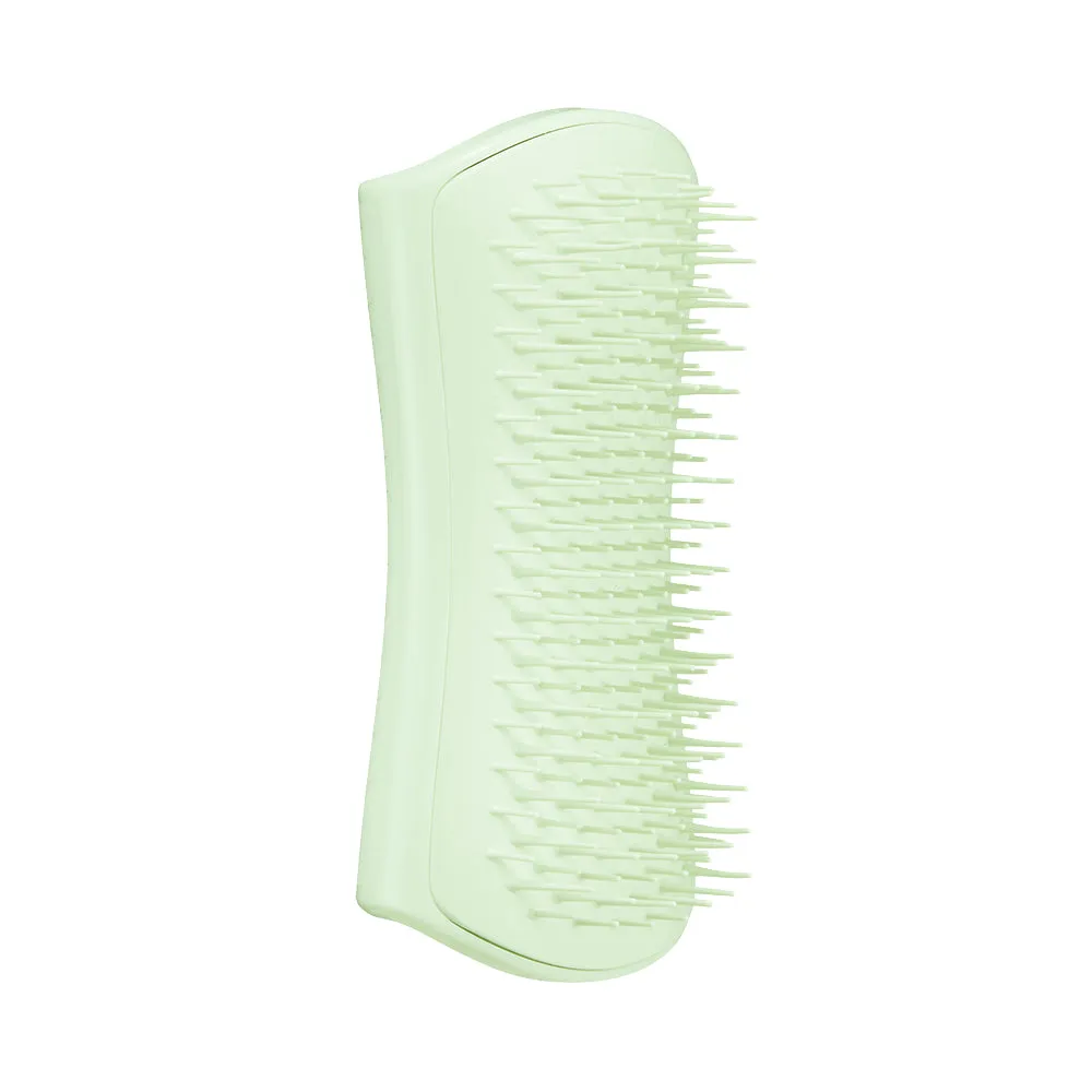 Pet Teezer Puppy Brush