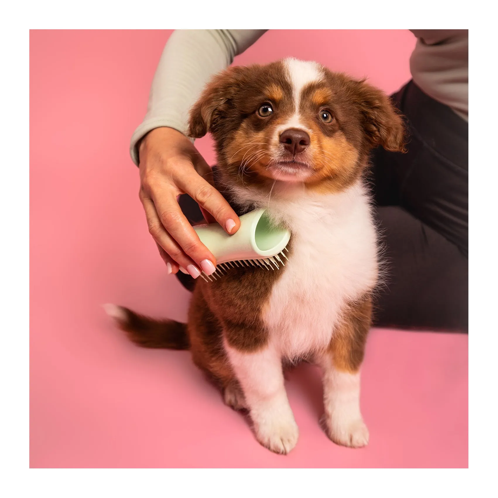 Pet Teezer Puppy Brush