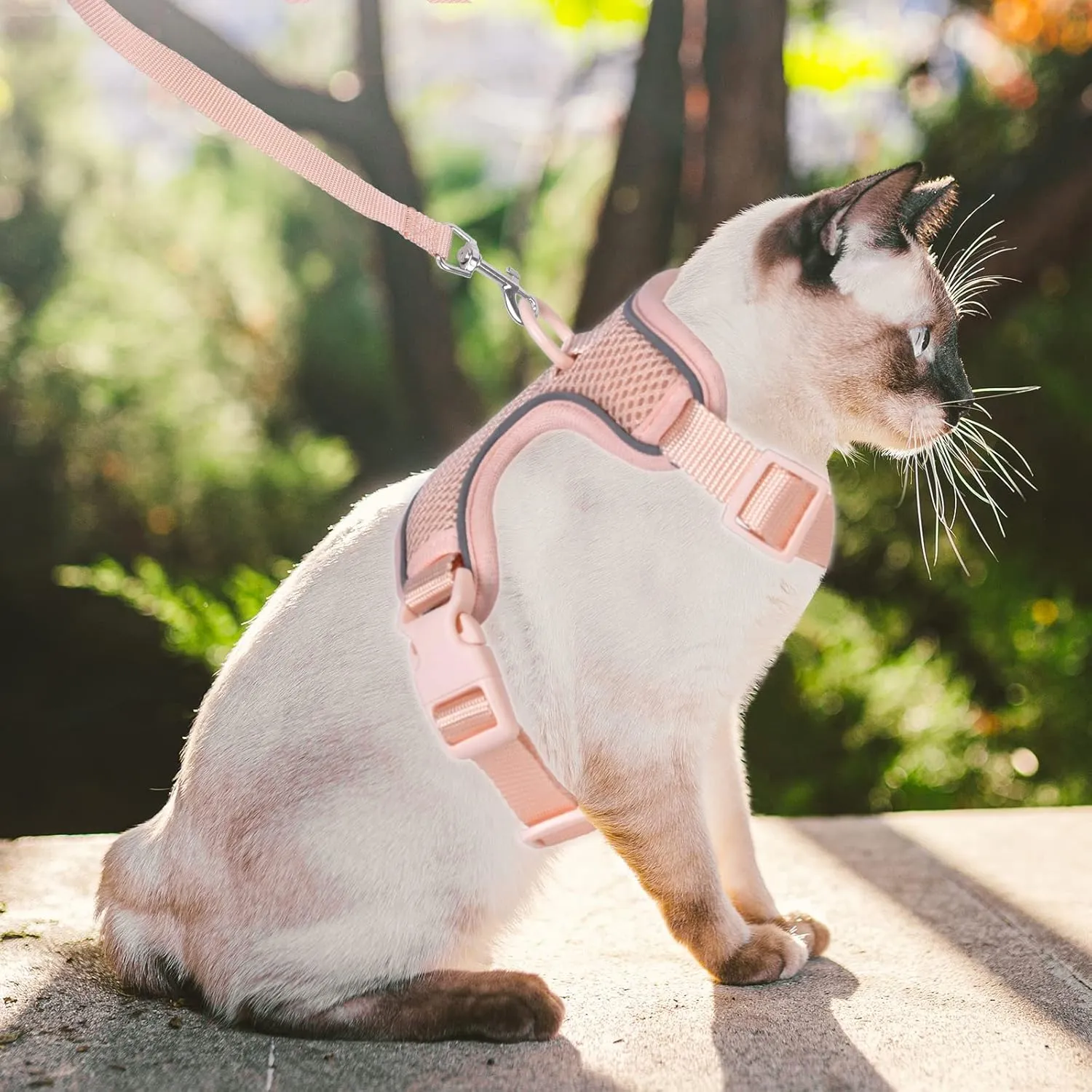 Petmolico Cat Harness and Leash, Escape Proof Breathable Mesh Kitten Vest Harness Leash Set for Travel Outdoor Walking, Pink Medium