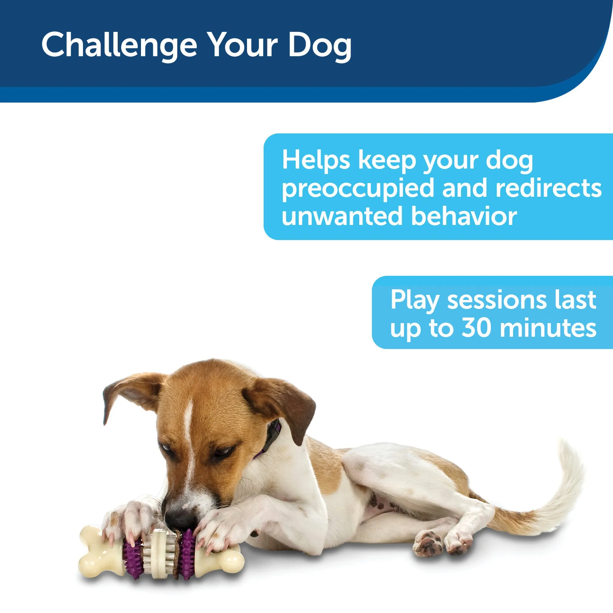 PetSafe Busy Buddy Bristle Bone - Medium