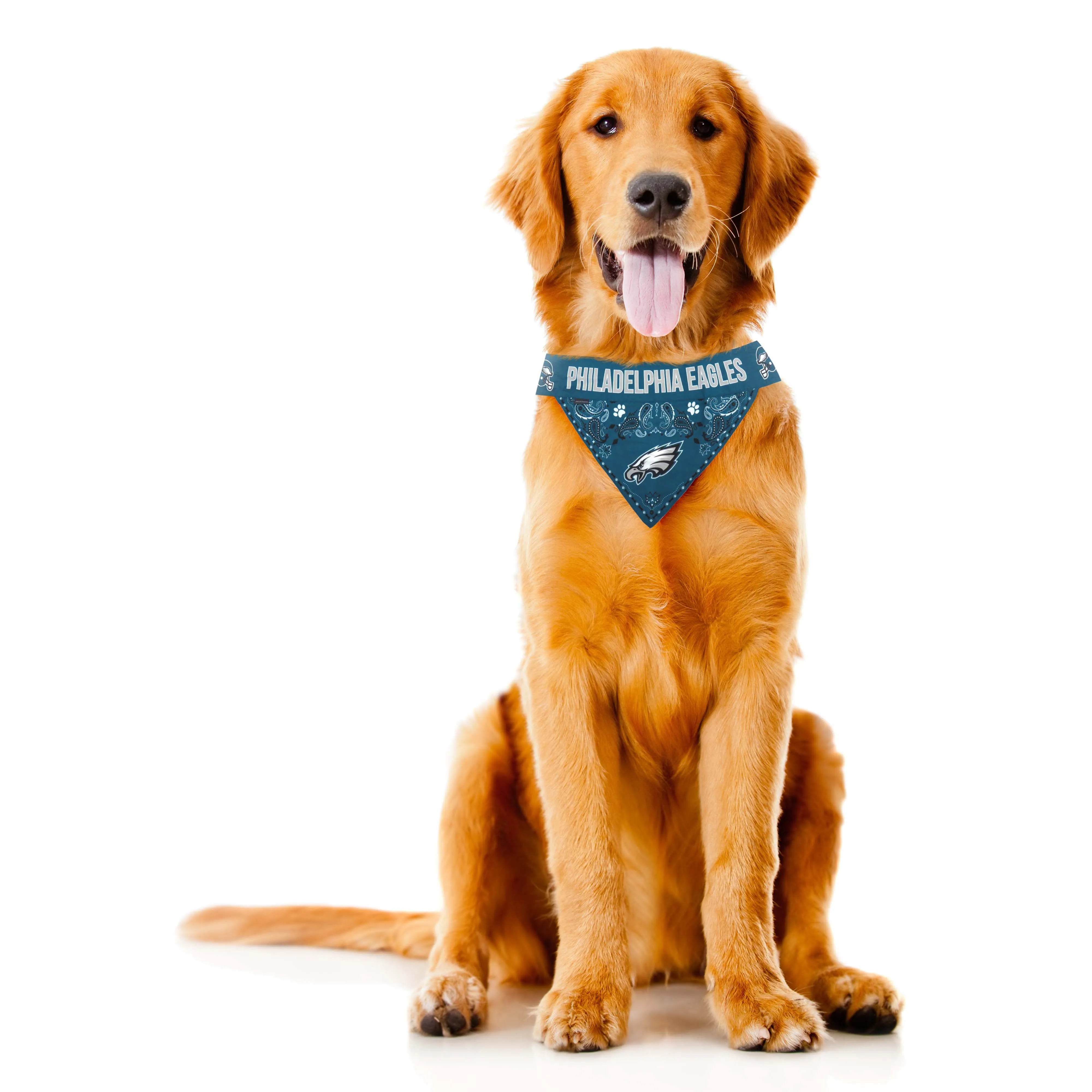 Philadelphia Eagles Pet Bandana
