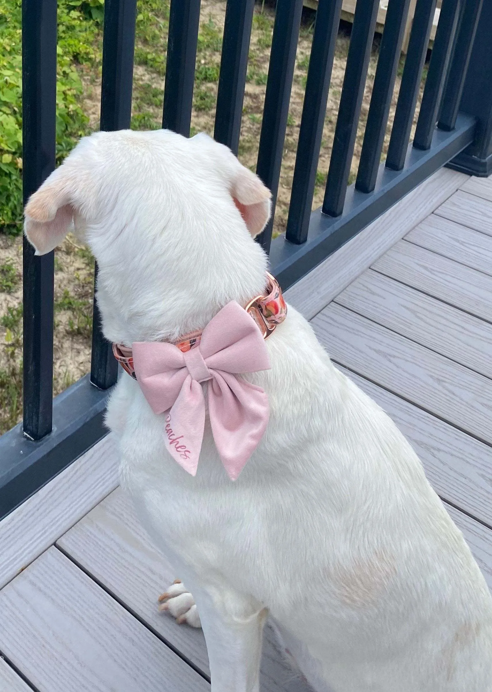 Pink dog bow tie - Dusty Pink velvet sailor dog bowtie with tails