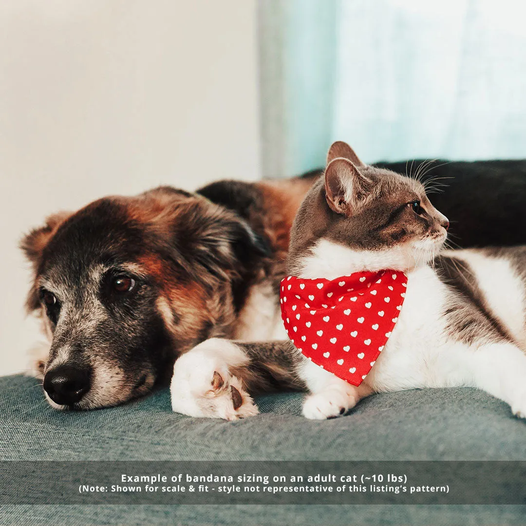 Rifle Paper Co® Pet Bandana - "Indigo Garden" - Blue Floral Bandana for Cat   Small Dog / Slide-on Bandana / Over-the-Collar (One Size)