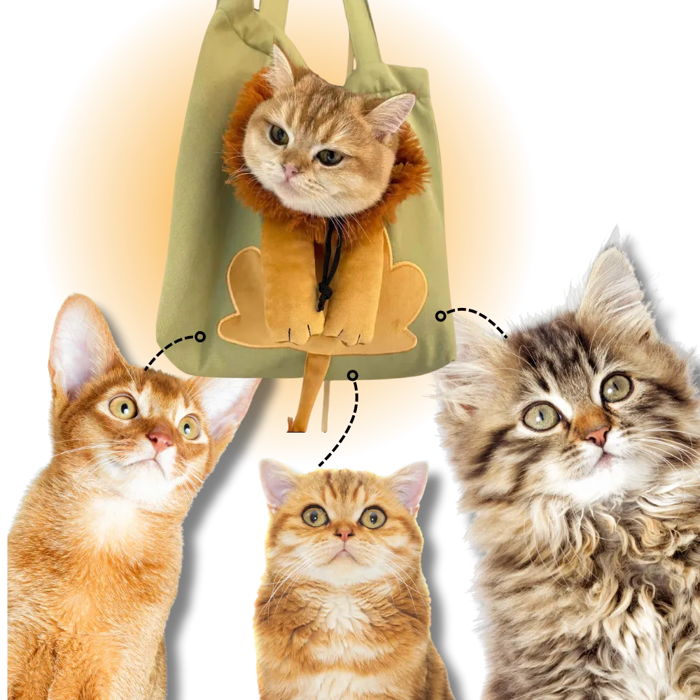 Soft & Breathable Lion Cat Bag