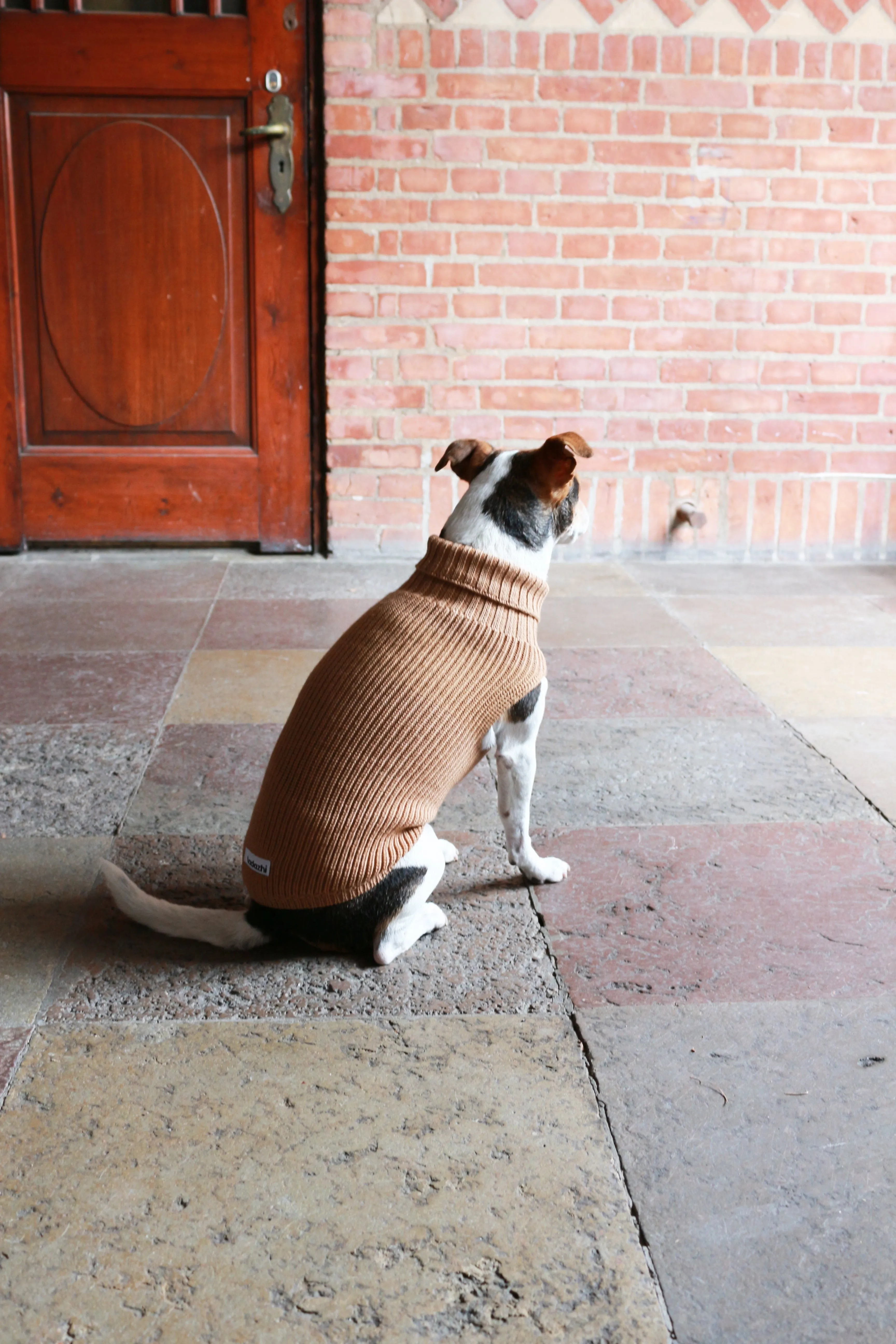 Tadazhi Female Dog Wool Sweater