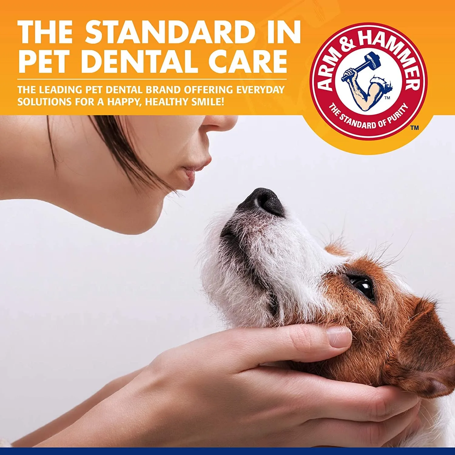 Toothbrush & Cover for Small Dogs